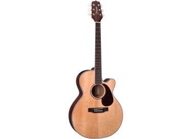 Takamine EG540DLX