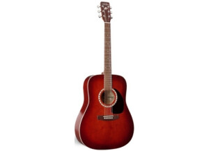 Art & Lutherie Spruce