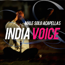 Bollywood Sounds India Voice