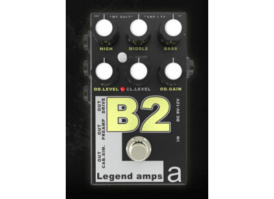 Amt Electronics B2 Bogner