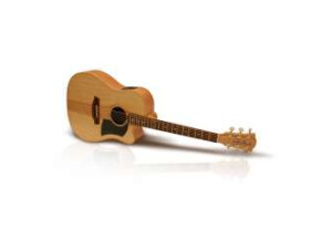 Cole Clark FL1AC Bunya/Maple