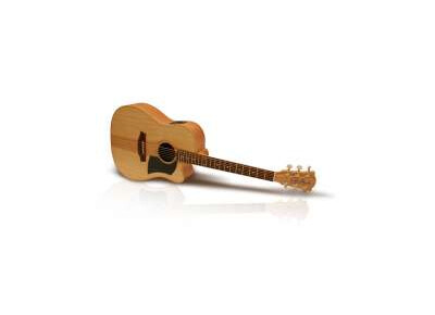 Cole Clark FL1AC Bunya/Maple