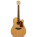 Cole Clark FL2AC Bunya/Maple