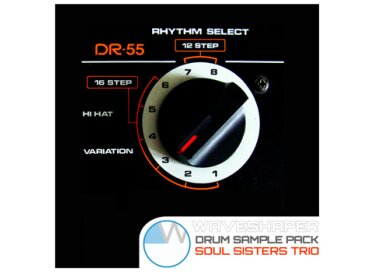 waveshaper Soul Sisters / The Clone Theory