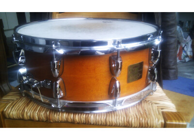 Yamaha maple  absolute