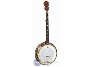 Fender FB-59 Banjo