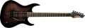 Washburn XM PRO2 FRFBB
