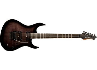 Washburn XM-PRO2FR