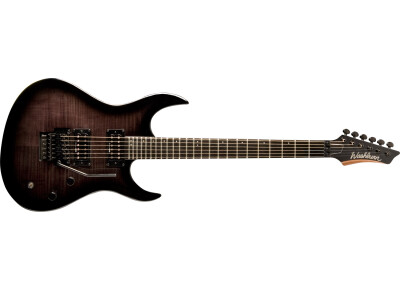 Washburn XM-PRO2FR