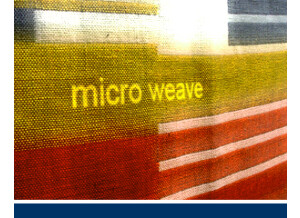Detunized DTS036 - Micro Weave