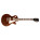 Voir la photo de la Gibson Les Paul Custom Pro Gibson Les Paul Custom Pro