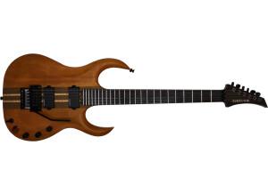 Esoterik Guitars ESO-C (Custom)