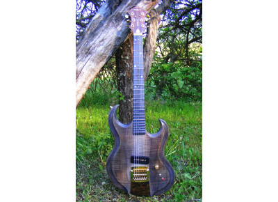 AMV Artist Luthier Walkyrie