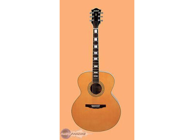 Gretsch G3738 Sierra Jumbo