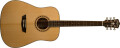 Washburn Harvest Series et WD10