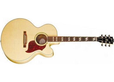 Gibson J-165 EC Rosewood