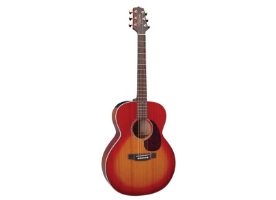 Takamine EG430S-VV