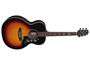 Takamine EG450DLX-TBS