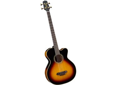 Takamine TB250SC