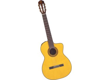 Takamine EC132C