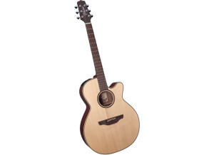 Takamine ESN40C