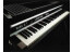 Fender Rhodes Mark II Stage Piano