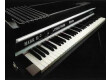 Fender Rhodes Mark II Stage Piano