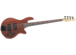 Godin Freeway 4 Bass Active