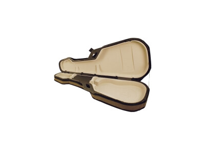 Godin Case TRIC 5th Avenue