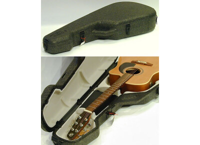 Godin Case TRIC Dreadnought