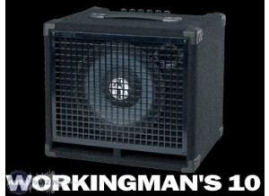SWR Workingman's 10
