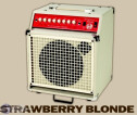 vends ampli guitare acoustique strawberry blonde