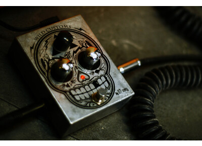 Wild Customs Dia De Los Overdrive