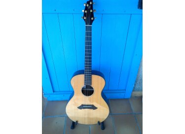 Breedlove SC20-Z