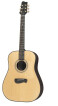 Tacoma Guitars DR28