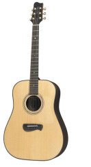 Tacoma Guitars DR28