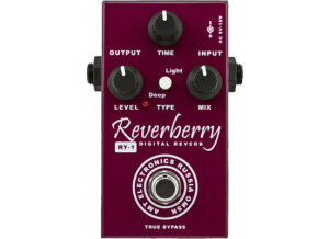 Amt Electronics RY-1 Reverberry