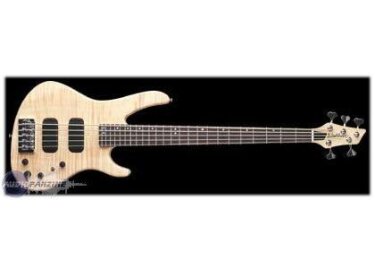 Washburn XB925