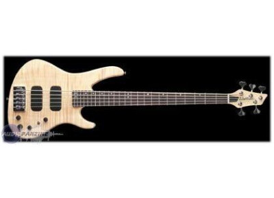 Washburn XB925