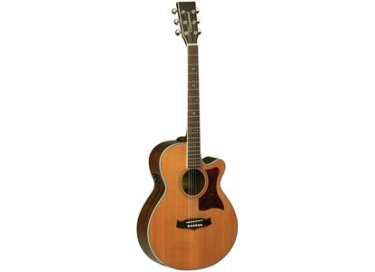 Tanglewood TW45 NS B