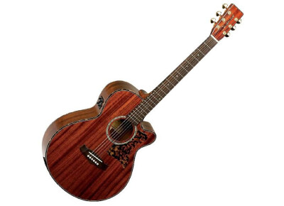Tanglewood TW47 B