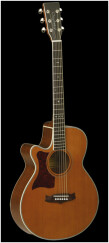 Tanglewood TW45 NS E LH