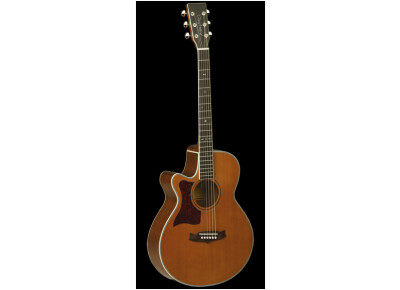 Tanglewood TW45 NS E LH