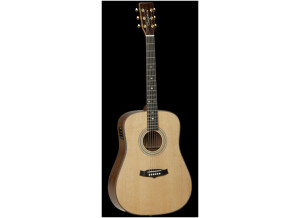 Tanglewood TW15 H E