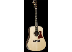 Tanglewood TW1000 H SR E