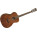 Voir la photo de la Tanglewood TW130 Tanglewood TW130