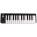 Voir la photo du Eagletone TINY KEY Eagletone TINY KEY