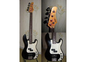 Hohner Professional PJ