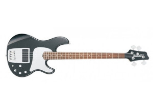 Ibanez ATK300RM