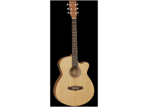 Tanglewood TWR SFCE